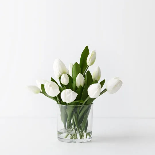 Tulip Arrangement