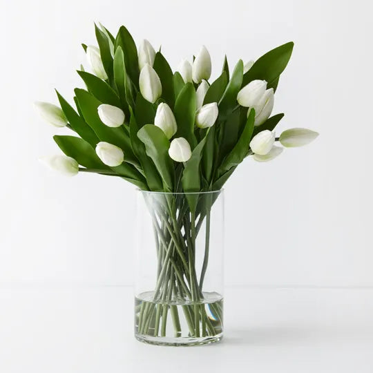 Tulip Arrangement