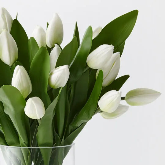 Tulip Arrangement